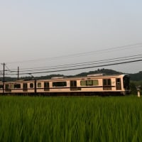 夕方の二郎で