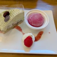 ブルーベリー狩りへ行きました