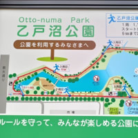 乙戸沼公園と霞ヶ浦総合公園