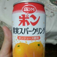 【日常】ポン　果実スパークリング【缶ジュース】