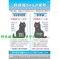 5/18猫ともクラブありがとうございました！