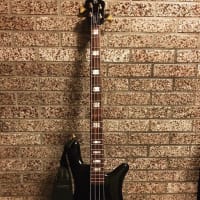 気がつけば…年度末～Spectorについて思うこと