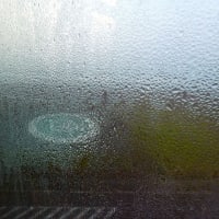 七夕です。　25/07/07