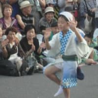 南越谷阿波おどり