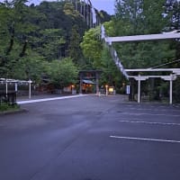 雨上がりの境内に