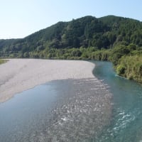 本日の海部川