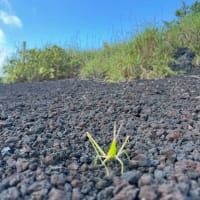 仙台からいらしたご家族と裏砂漠