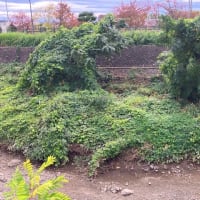 体育館・屋内プールの建設計画