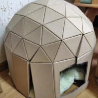 何があったの(◎_◎;)