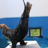 四国水族館