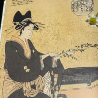紅花とマトリカリア