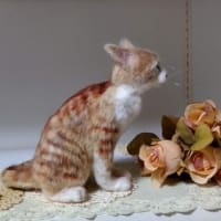 羊毛っこ　猫さん♪生まれました(*^^*)