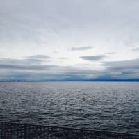 雨が止むのを待って 紀州釣りでの釣行