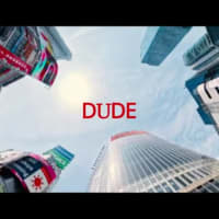 DUDE