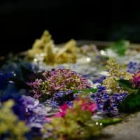 2025年6月:「大平山連祥院六角堂」で花手水を記録してきました。