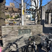 『べらぼう』の話(23)誰袖