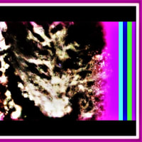 🐉🌈〖洗足流れ〗小滝に【⚡龍神様⚡】出現❢❢