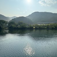 真夏の別邸わんこ日和　湯浦川から