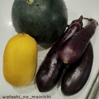 ヤッタァー ٩( ᐛ )و  同じ日に西瓜ふたつゲットだぜ 🍉