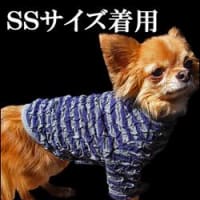 くしゅくしゅ感がたまらないＴシャツ新入荷♪