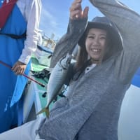 ６月 ２１日 (土) 🎊今日も絶好調❗トップ㊗️良型７８メガ❗次７１匹❗午後㊗️３３匹❗有難う御座いました😁✨