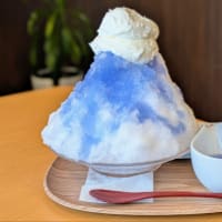 ピアノ発表会