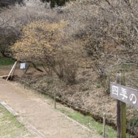 四季の森星野