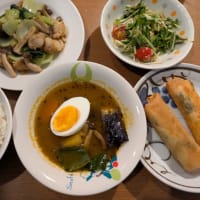 ６月１７日のお弁当＆昨日の晩御飯