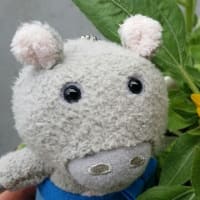 こなつちゃん