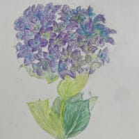 月1回の水彩色えんぴつ画の講座