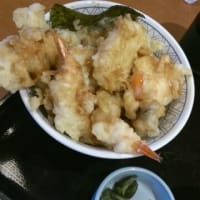暇こーしん