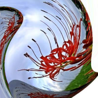曼珠沙華の咲く街