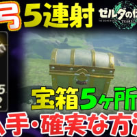 【ティアキン】獣神の弓（5連射）が出る宝箱の場所５ヶ所※5連射（最強弓）の確実な入手方法と注意点 【ゼルダの伝説ティアーズオブザキングダム】【totk】