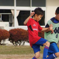 少年サッカーを始めて