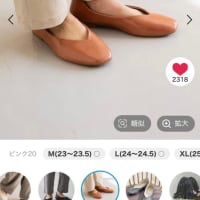 買って良かったモノ (パンプス代わりに使える靴)