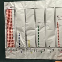 今日の学校の様子