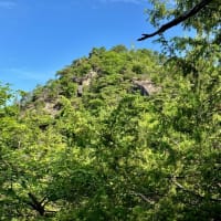 白砂白山ビュースポット