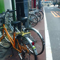 自転車道路駐輪