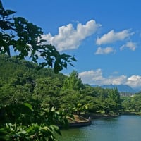 涼月の山上湖風情  その　2