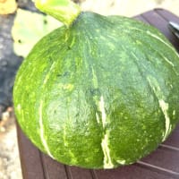 7月7日(月）②