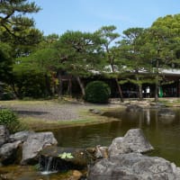 バラのある風景と野外コンサート