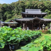 三室戸寺その１