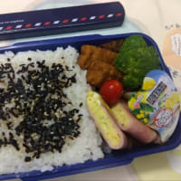 今日のお弁当