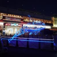 2010/11/3-4　ついにナミと初対面（名古屋港水族館）
