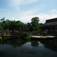 富士五湖へ その8