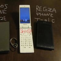スマホからガラケーへの機種変更　続報（ドコモメール設定）