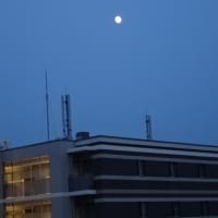 オレンジ色の月
