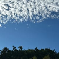 朝から青空💕