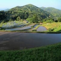 【　棚田の朝の風景　】