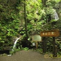 久々の山行、それは人生の縮図だった... Part 1